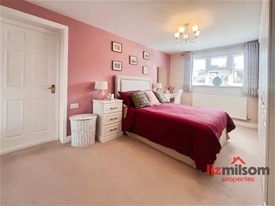 Picture 12